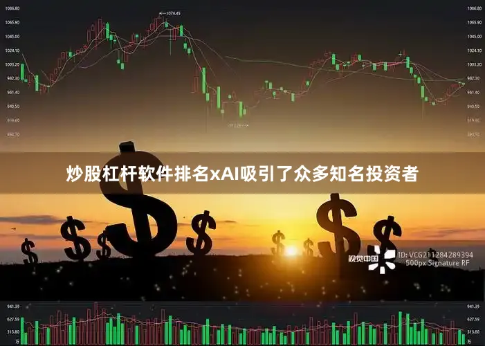 炒股杠杆软件排名xAI吸引了众多知名投资者
