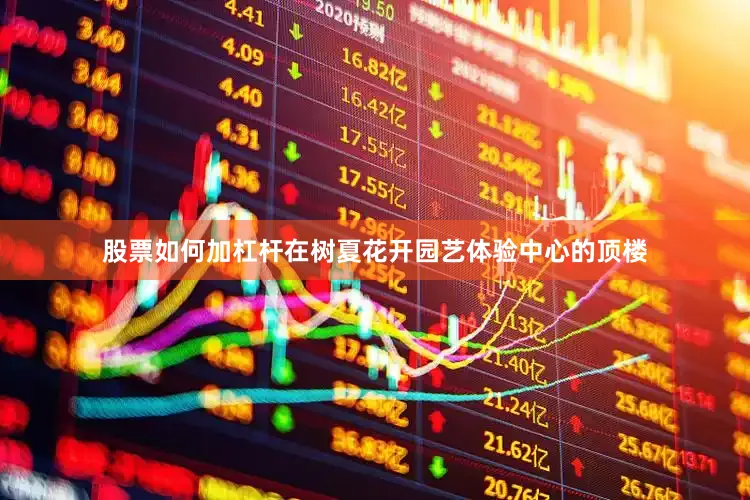 股票如何加杠杆在树夏花开园艺体验中心的顶楼